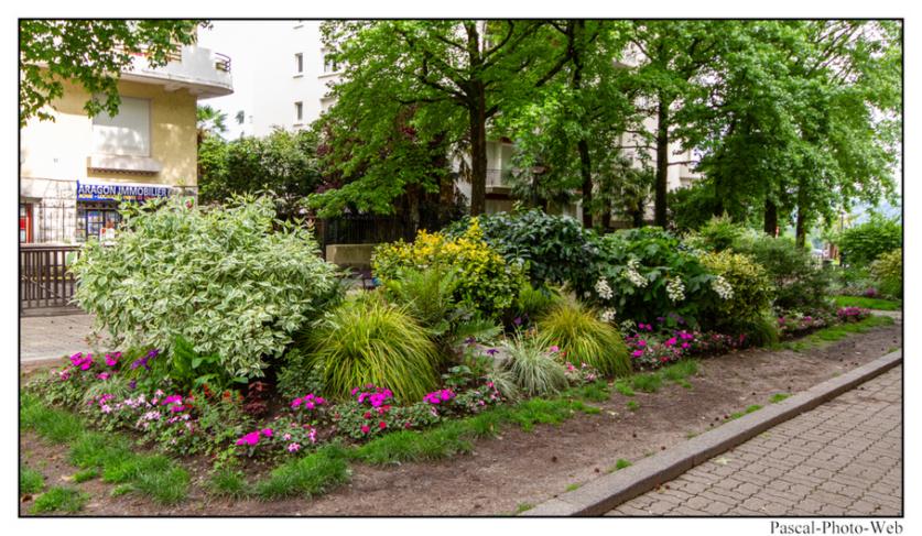 #pascal-photo-web #pyr�n�es-atlantique #pyr�n�es #64 #france #sud #ouest #photo #montagne #paysage #piment #pau