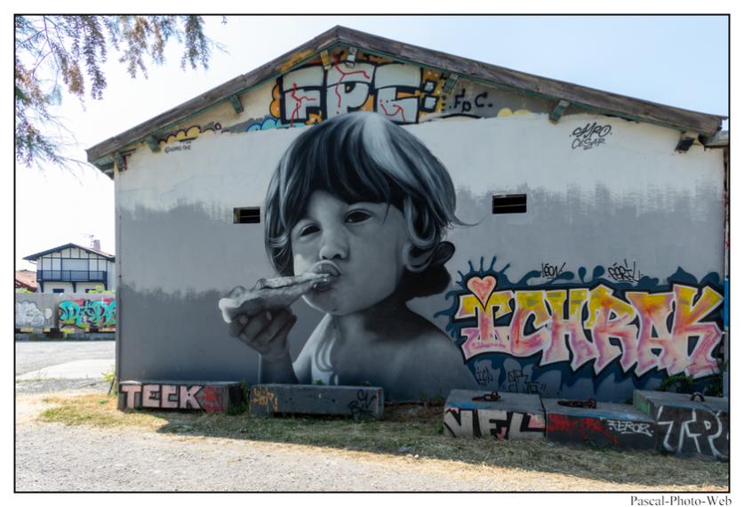 #pascal-photo-web #pyr�n�es-atlantique #pyr�n�es #64 #france #sud #ouest #photo #montagne #paysage #piment #saint-jean-de-luz