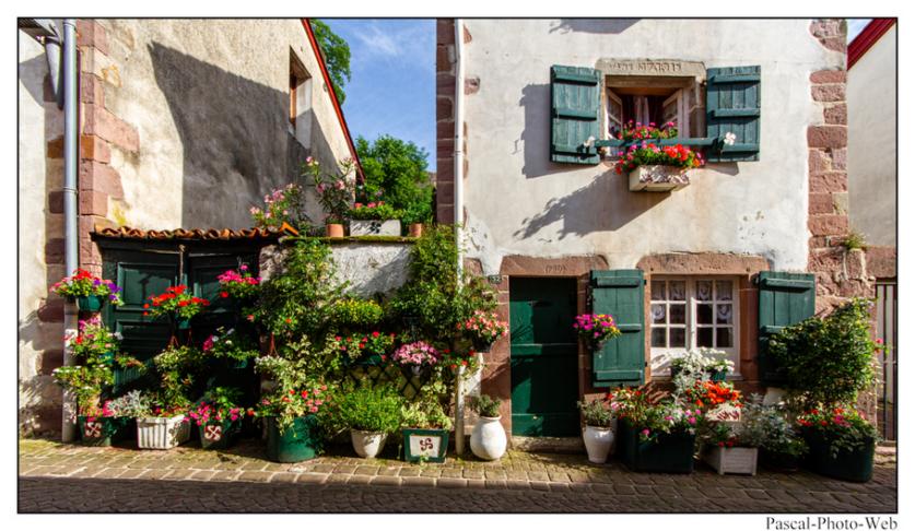 #pascal-photo-web #pyr�n�es-atlantique #pyr�n�es #64 #france #sud #ouest #photo #montagne #paysage #piment #saint-jean-pied-de-port