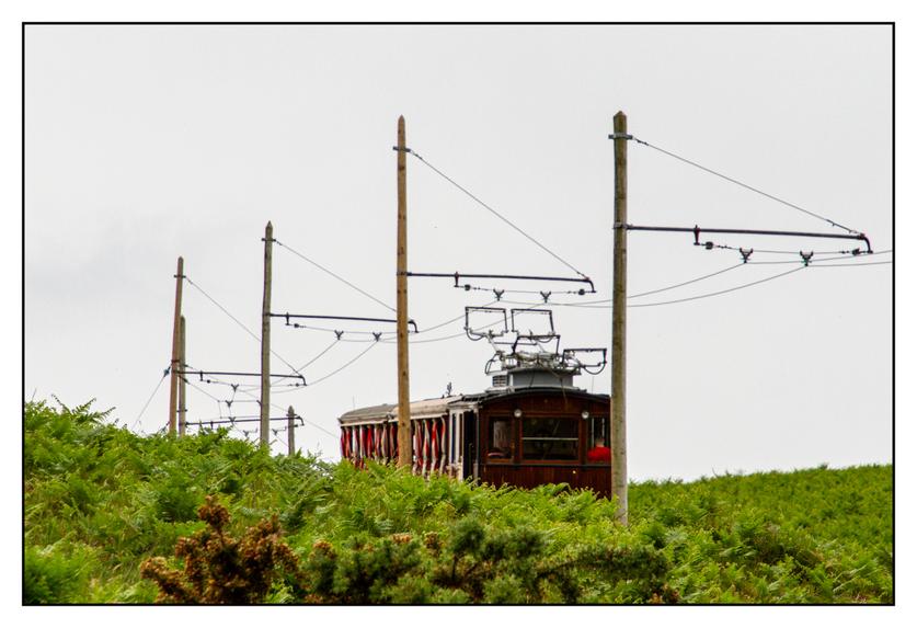 #pascal-photo-web #pyr�n�es-atlantique #pyr�n�es #64 #france #sud #ouest #photo #montagne #paysage #piment #sares #letraindelarhune #rhune