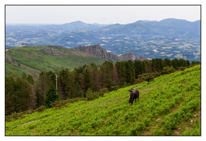 #pascal-photo-web #pyr�n�es-atlantique #pyr�n�es #64 #france #sud #ouest #photo #montagne #paysage #piment #sares #letraindelarhune #rhune