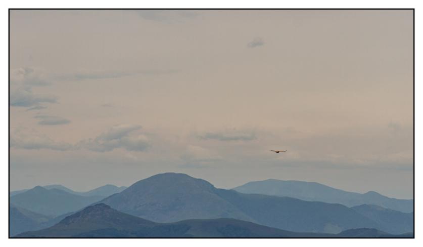 #pascal-photo-web #pyr�n�es-atlantique #pyr�n�es #64 #france #sud #ouest #photo #montagne #paysage #piment #sares #letraindelarhune #rhune