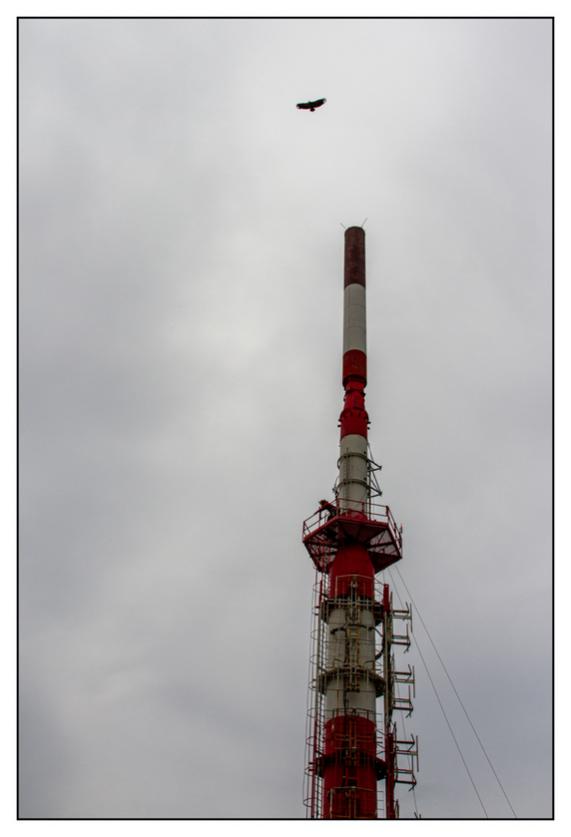 #pascal-photo-web #pyr�n�es-atlantique #pyr�n�es #64 #france #sud #ouest #photo #montagne #paysage #piment #sares #letraindelarhune #rhune