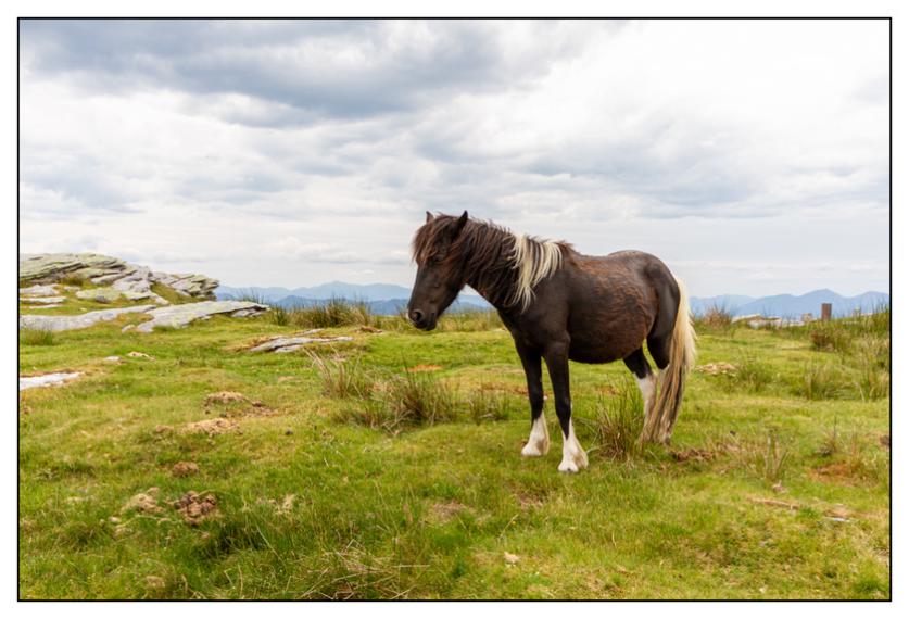 #pascal-photo-web #pyr�n�es-atlantique #pyr�n�es #64 #france #sud #ouest #photo #montagne #paysage #piment #sares #letraindelarhune #rhune