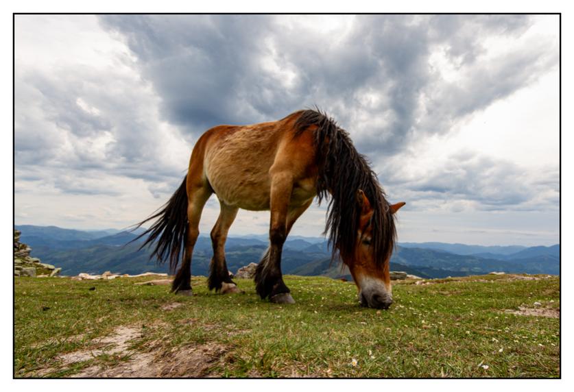 #pascal-photo-web #pyr�n�es-atlantique #pyr�n�es #64 #france #sud #ouest #photo #montagne #paysage #piment #sares #letraindelarhune #rhune