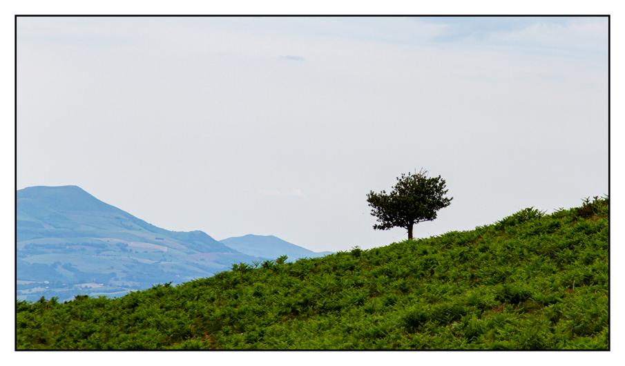 #pascal-photo-web #pyr�n�es-atlantique #pyr�n�es #64 #france #sud #ouest #photo #montagne #paysage #piment #sares #letraindelarhune #rhune