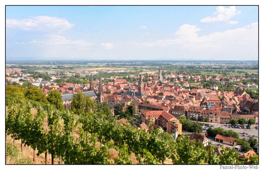 #Pascal-Photo-Web #Village #medieval #Paysage #67 #bas-rhin #France #alsace #patrimoine #touristique #Obernai