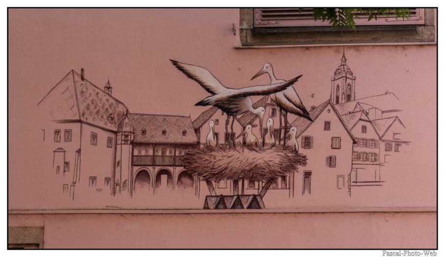 #Pascal-Photo-Web #Village #medieval #Paysage #67 #bas-rhin #France #alsace #patrimoine #touristique #Colmar