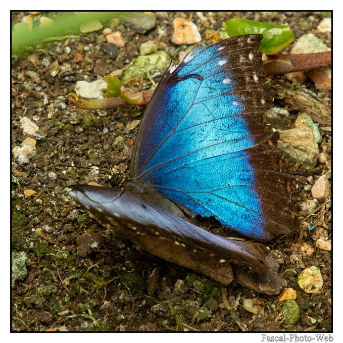 #Pascal-Photo-Web #Village #medieval #Paysage #67 #bas-rhin #France #alsace #patrimoine #touristique #Hunawihr