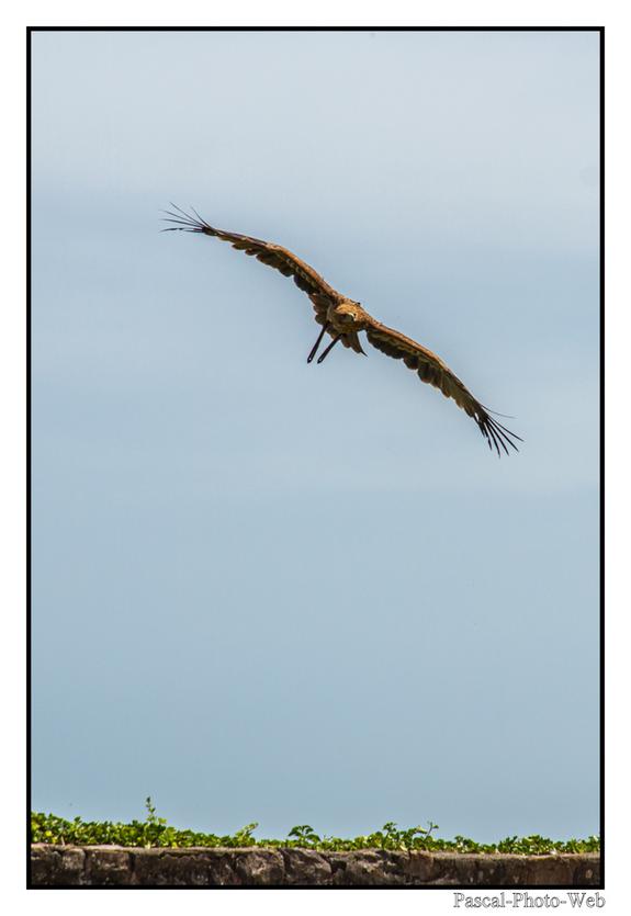 #Pascal-Photo-Web #Village #medieval #Paysage #67 #bas-rhin #France #alsace #patrimoine #touristique #Kintzheim