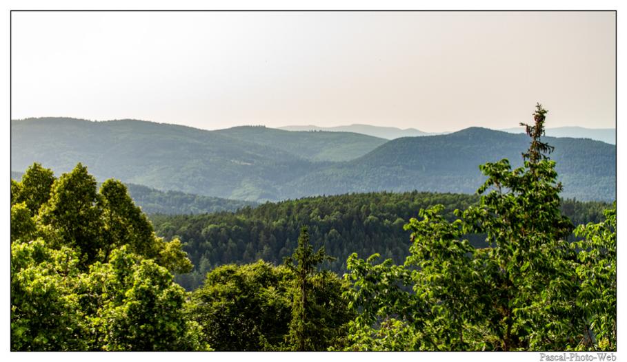 #Pascal-Photo-Web #Village #medieval #Paysage #67 #bas-rhin #France #alsace #patrimoine #touristique #lemontstodile