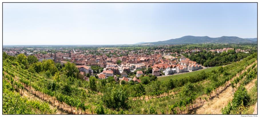 #Pascal-Photo-Web #Village #medieval #Paysage #67 #bas-rhin #France #alsace #patrimoine #touristique #Obernai