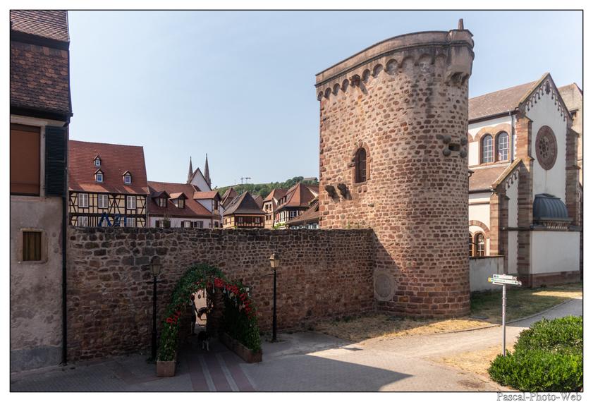 #Pascal-Photo-Web #Village #medieval #Paysage #67 #bas-rhin #France #alsace #patrimoine #touristique #Obernai