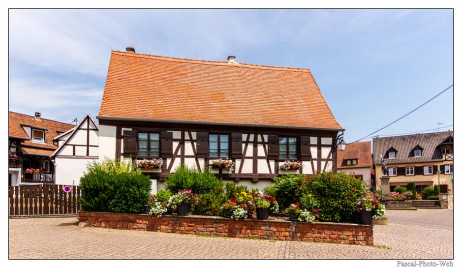 #Pascal-Photo-Web #Village #medieval #Paysage #67 #bas-rhin #France #alsace #patrimoine #touristique #Marlenheim