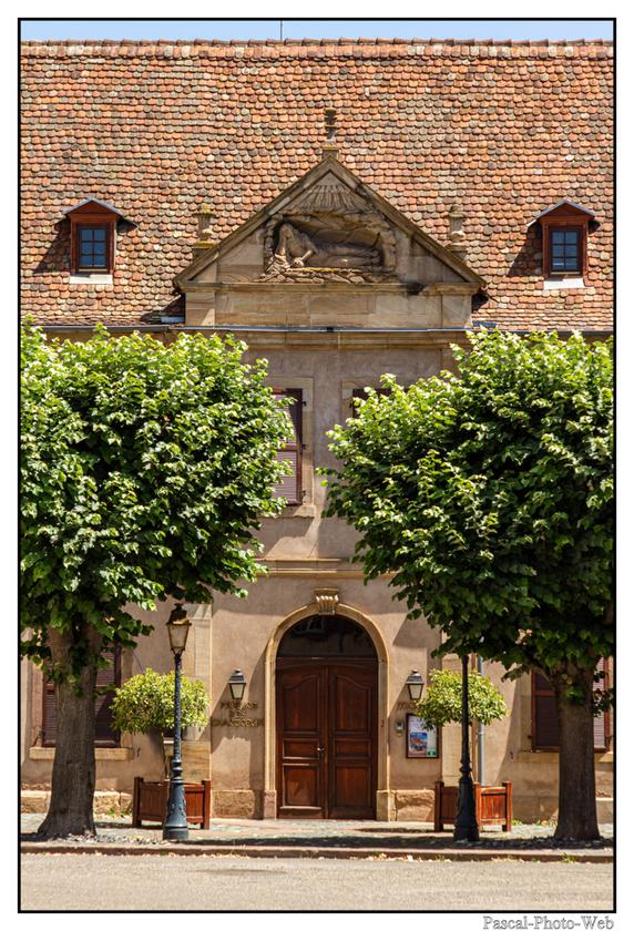 #Pascal-Photo-Web #Village #medieval #Paysage #67 #bas-rhin #France #alsace #patrimoine #touristique #Molsheim