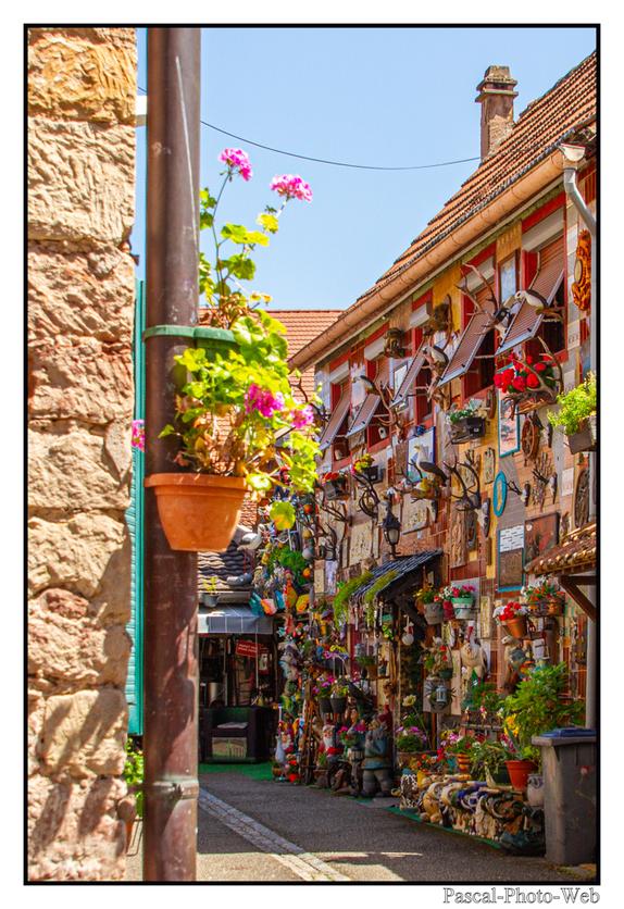 #Pascal-Photo-Web #Village #medieval #Paysage #67 #bas-rhin #France #alsace #patrimoine #touristique #Molsheim
