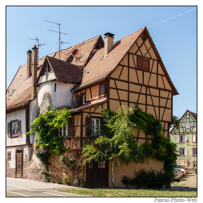 #Pascal-Photo-Web #Village #medieval #Paysage #67 #bas-rhin #France #alsace #patrimoine #touristique #S�lestat