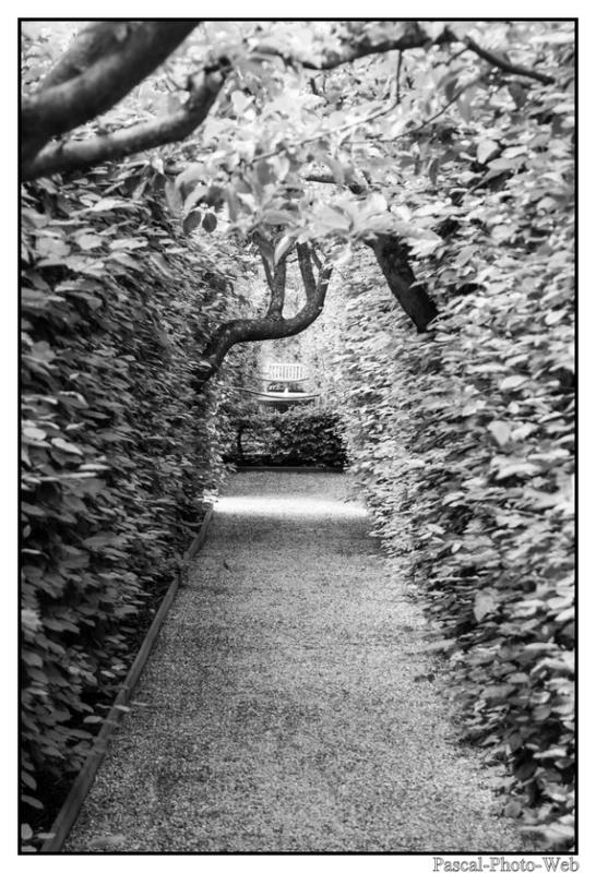 #pascal-photo-web #hautes-alpes #savoie #74 #france #sud #est #photo #yvoire