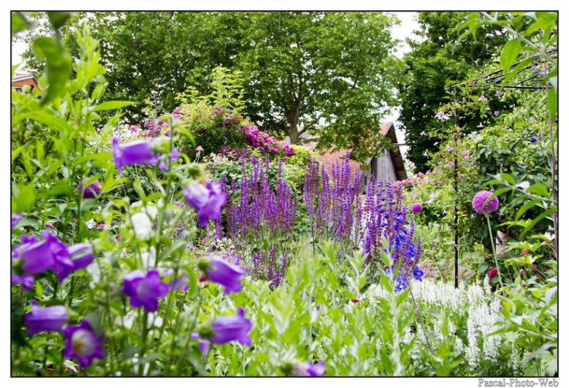 #pascal-photo-web #hautes-alpes #savoie #74 #france #sud #est #photo #yvoire