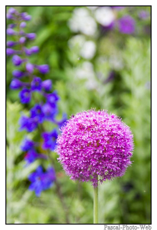 #pascal-photo-web #hautes-alpes #savoie #74 #france #sud #est #photo #yvoire