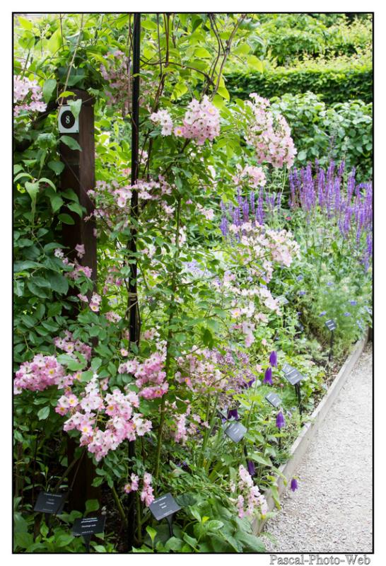 #pascal-photo-web #hautes-alpes #savoie #74 #france #sud #est #photo #yvoire