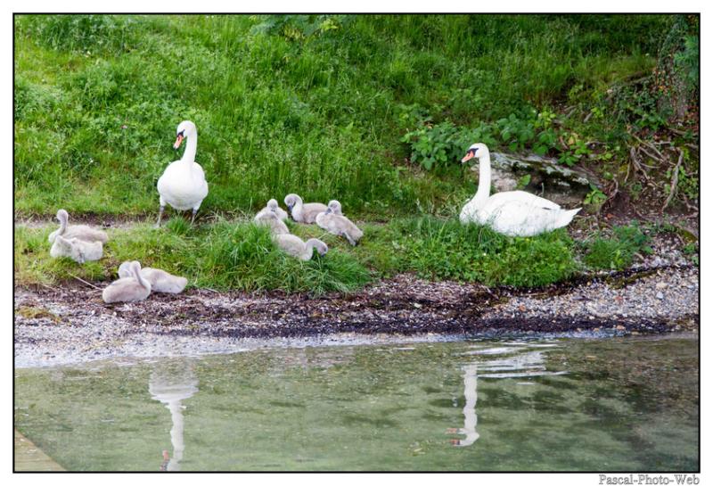 #pascal-photo-web #hautes-alpes #savoie #74 #france #sud #est #photo #yvoire