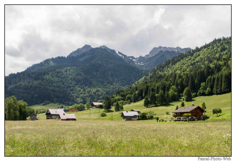 #pascal-photo-web #hautes-alpes #savoie #74 #france #sud #est #photo #abondance