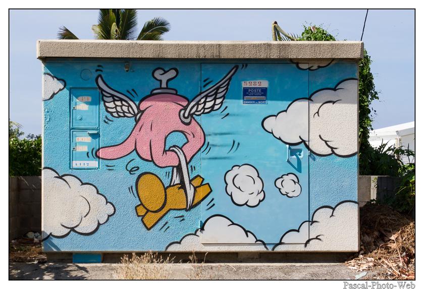 #Pascal-Photo-Web #photo #Lar�union #paysage #france #974 #tourisme #dom-tom #saint-Pierre #gouzou