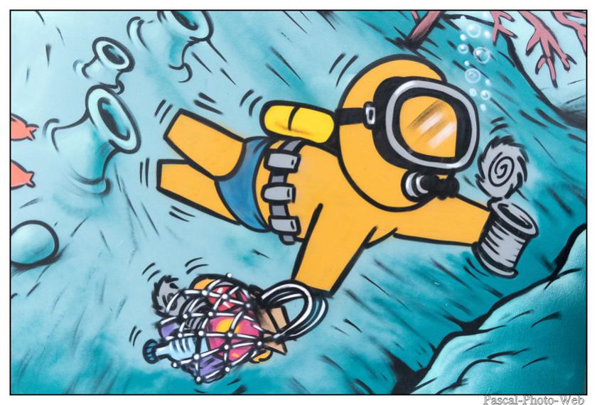 #Pascal-Photo-Web #photo #Lar�union #paysage #france #974 #tourisme #dom-tom #saint-Pierre #gouzou