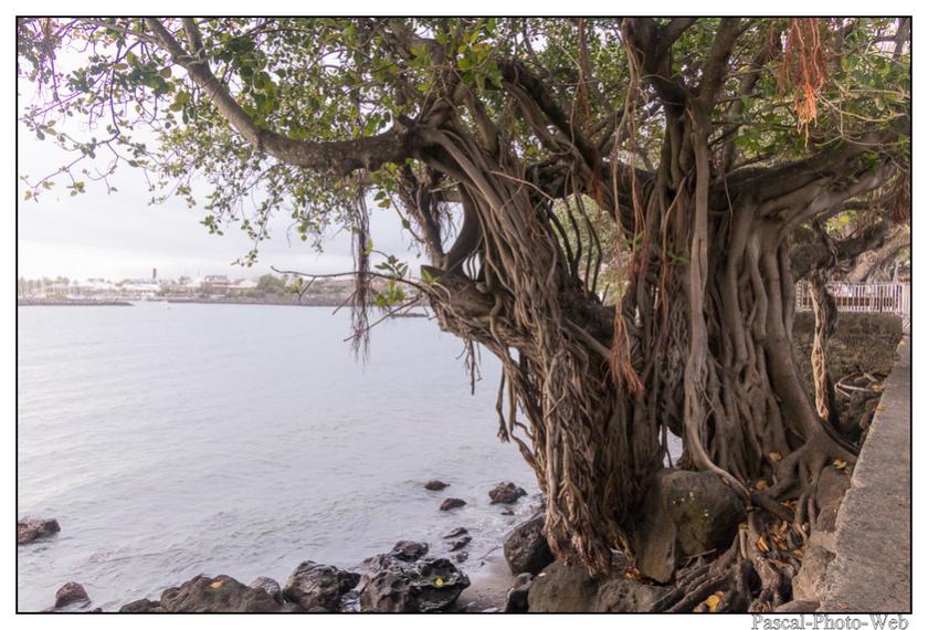 #Pascal-Photo-Web #photo #Lar�union #paysage #france #974 #tourisme #dom-tom #saint-pierre