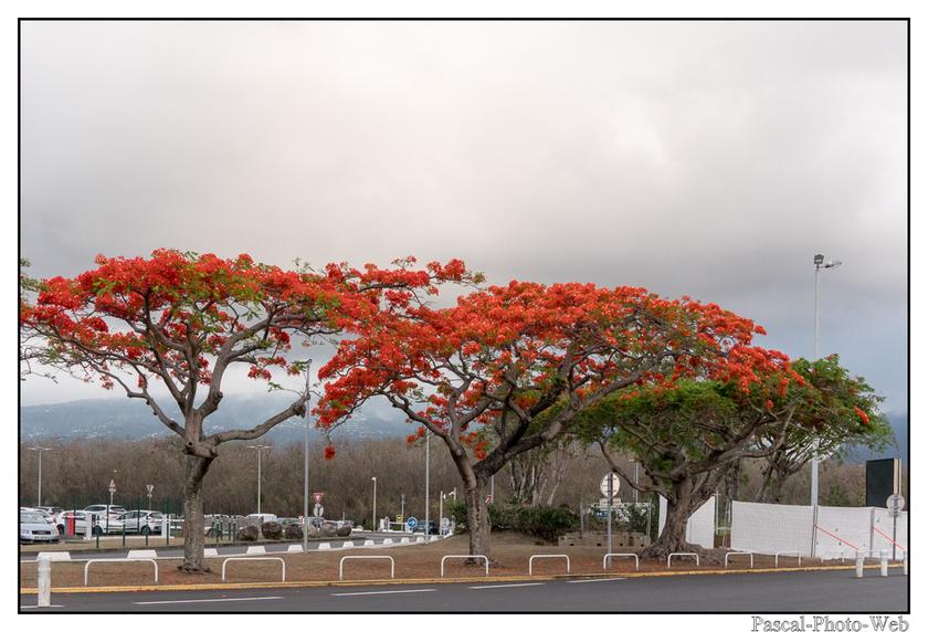 #Pascal-Photo-Web #photo #Lar�union #paysage #france #974 #tourisme #dom-tom #saint-denis