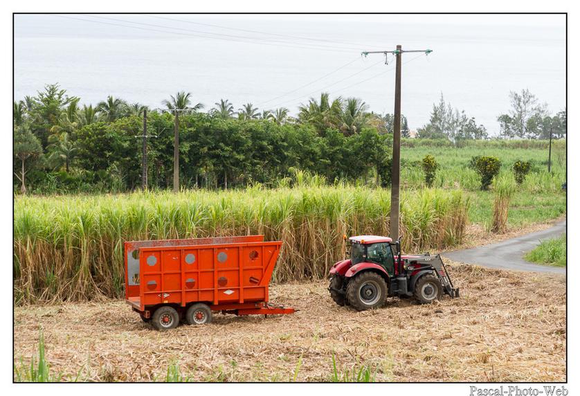 #Pascal-Photo-Web #photo #Lar�union #paysage #france #974 #tourisme #dom-tom #canne-�-sucre