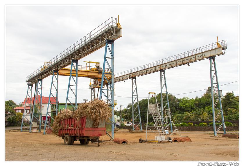 #Pascal-Photo-Web #photo #Lar�union #paysage #france #974 #tourisme #dom-tom #canne-�-sucre