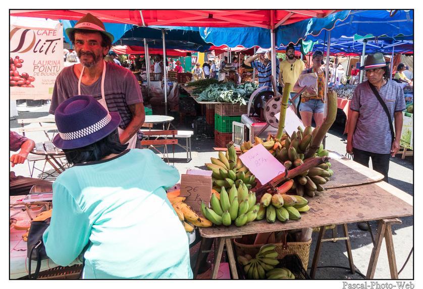 #Pascal-Photo-Web #photo #Lar�union #paysage #france #974 #tourisme #dom-tom #saint-pierre #canne-�-sucre 