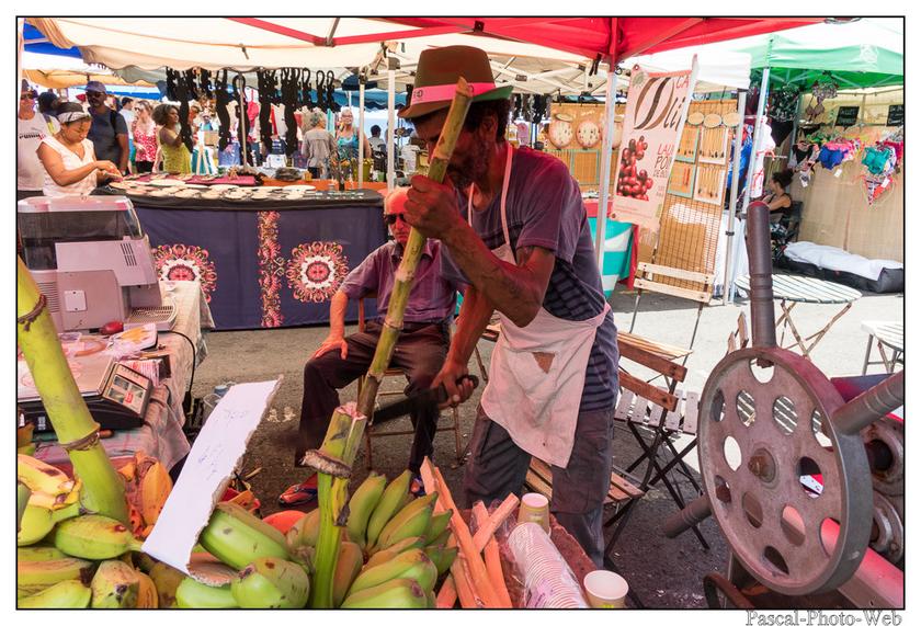 #Pascal-Photo-Web #photo #Lar�union #paysage #france #974 #tourisme #dom-tom #saint-pierre #canne-�-sucre 