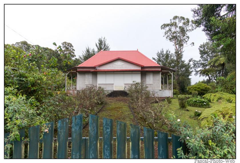 #Pascal-Photo-Web #photo #Lar�union #paysage #france #974 #tourisme #dom-tom #plaine #palmistes