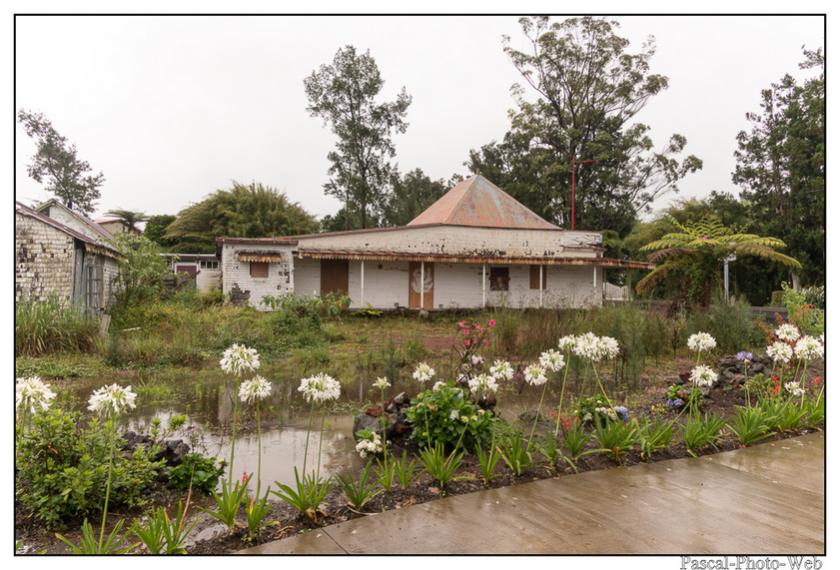 #Pascal-Photo-Web #photo #Lar�union #paysage #france #974 #tourisme #dom-tom #plaine #palmistes