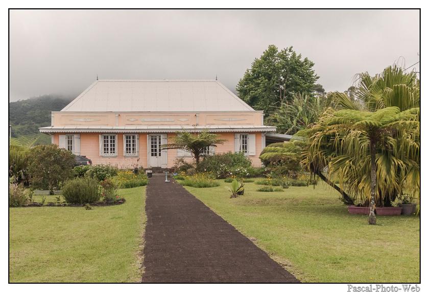 #Pascal-Photo-Web #photo #Lar�union #paysage #france #974 #tourisme #dom-tom #plaine #palmistes