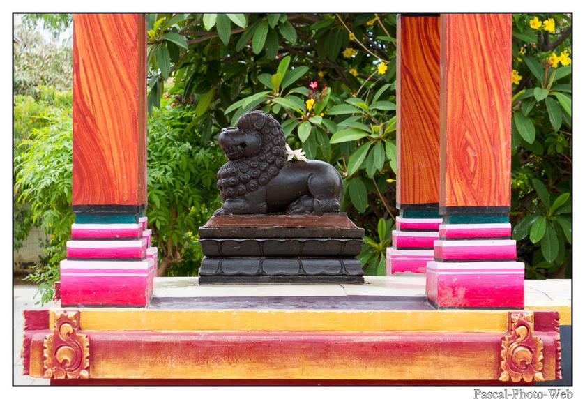 #Pascal-Photo-Web #photo #Lar�union #paysage #france #974 #tourisme #dom-tom #saint-pierre #temple #tamoul #karli