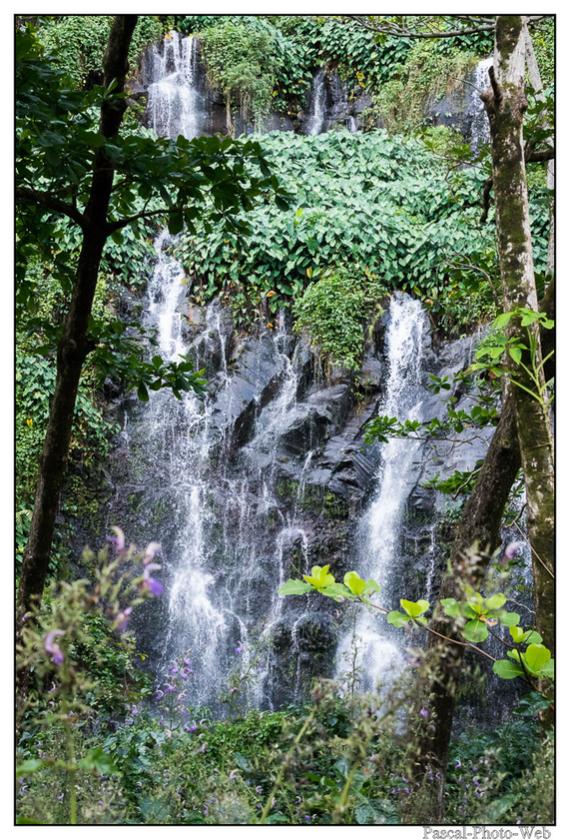 #Pascal-Photo-Web #photo #Lar�union #paysage #france #974 #tourisme #dom-tom #piton #cascade #sainte-rose