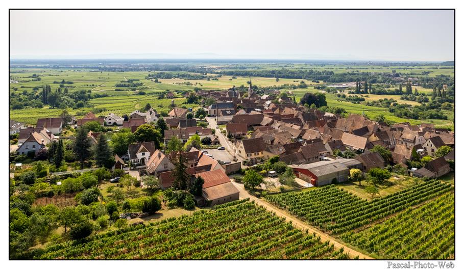 #paysages #campagne #Mittelbergheim #pascal-photo-web #Alsace #Bas-Rhin #67 #france #nord #est #patrimoine