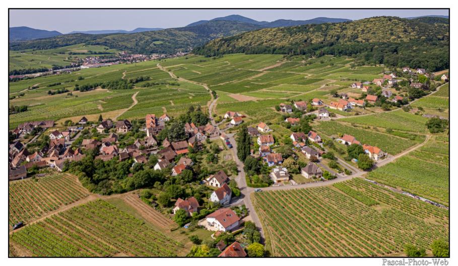 #paysages #campagne #Mittelbergheim #pascal-photo-web #Alsace #Bas-Rhin #67 #france #nord #est #patrimoine