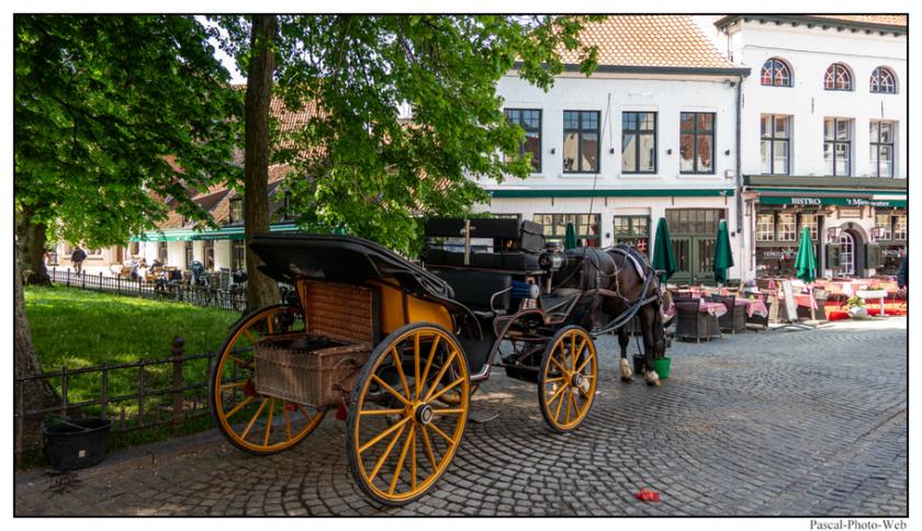 #Bruges #Brugges #pascal-photo-web #belgique #europe #ville #photo #architecture #venise 