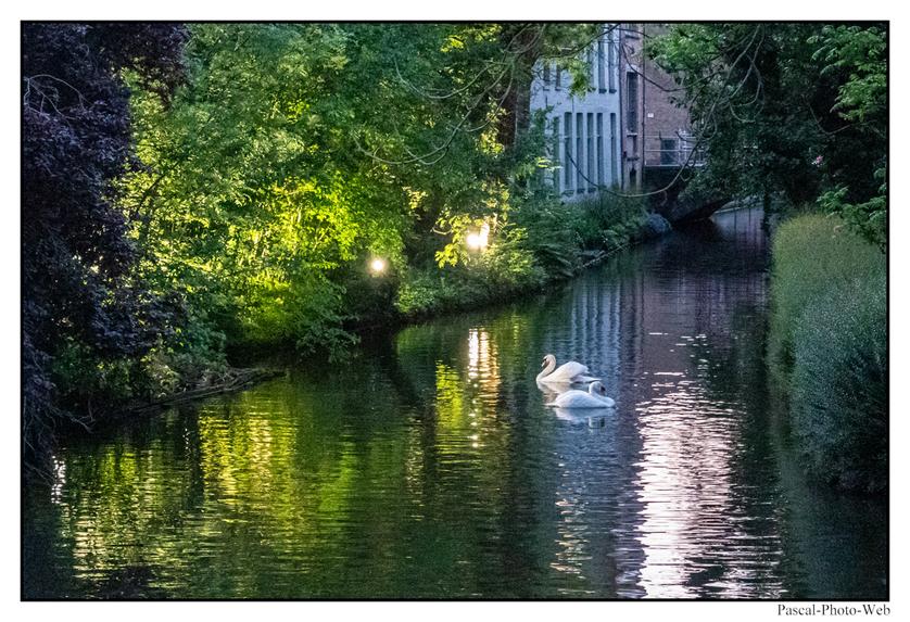 #Bruges #Brugges #pascal-photo-web #belgique #europe #ville #photo #architecture #venise