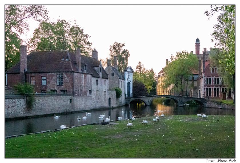 #Bruges #Brugges #pascal-photo-web #belgique #europe #ville #photo #architecture #venise