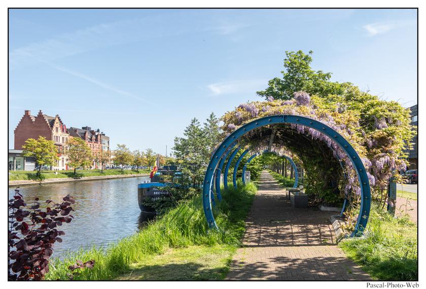 #Bruges #Brugges #pascal-photo-web #belgique #europe #ville #photo #architecture #venise