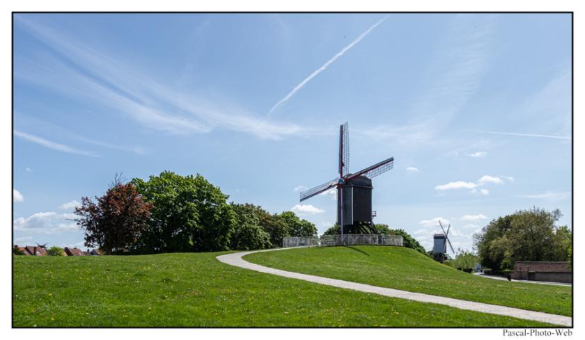 #Bruges #Brugges #pascal-photo-web #belgique #europe #ville #photo #architecture #venise