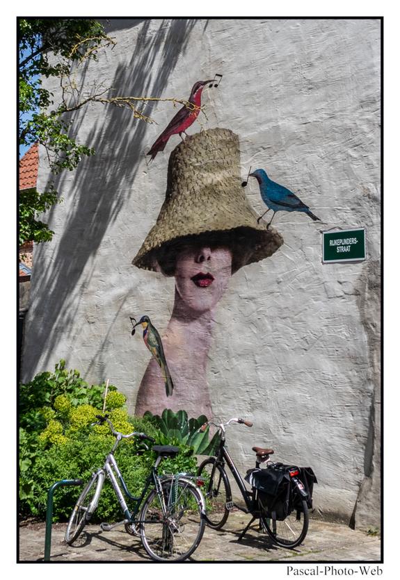 #Bruges #Brugges #pascal-photo-web #belgique #europe #ville #photo #architecture #venise