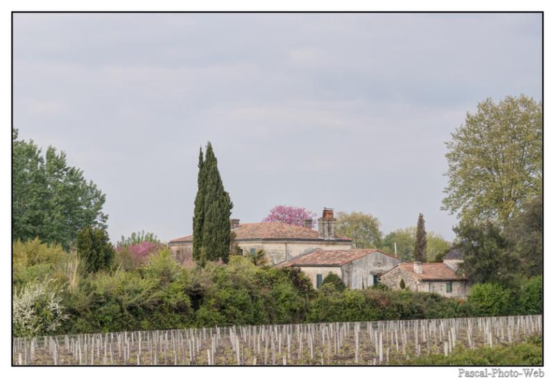 #Pascal-Photo-Web #france #Gironde #Paysage #Pessac