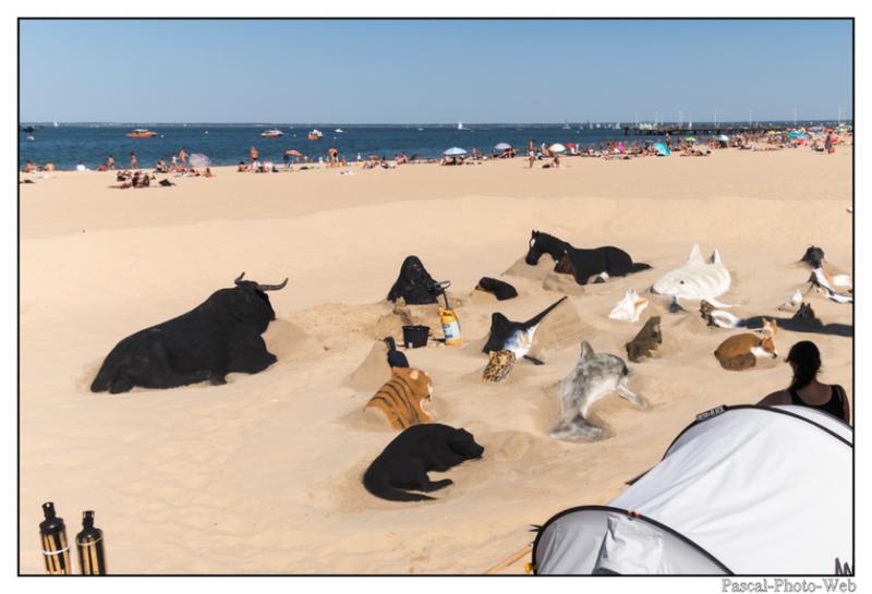 #Pascal-Photo-Web #france #Gironde #Paysage #plusbeauxvillages #Arcachon